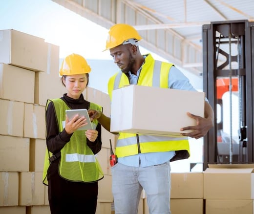 Supply Chain Optimization: How to Increase Efficiency and Productivity in the Warehouse